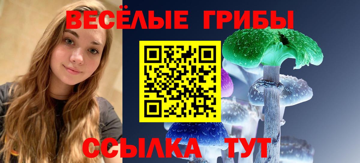 Галлюциногенные грибы Psilocybine cubensis  Вход с VPN  Артёмовский 